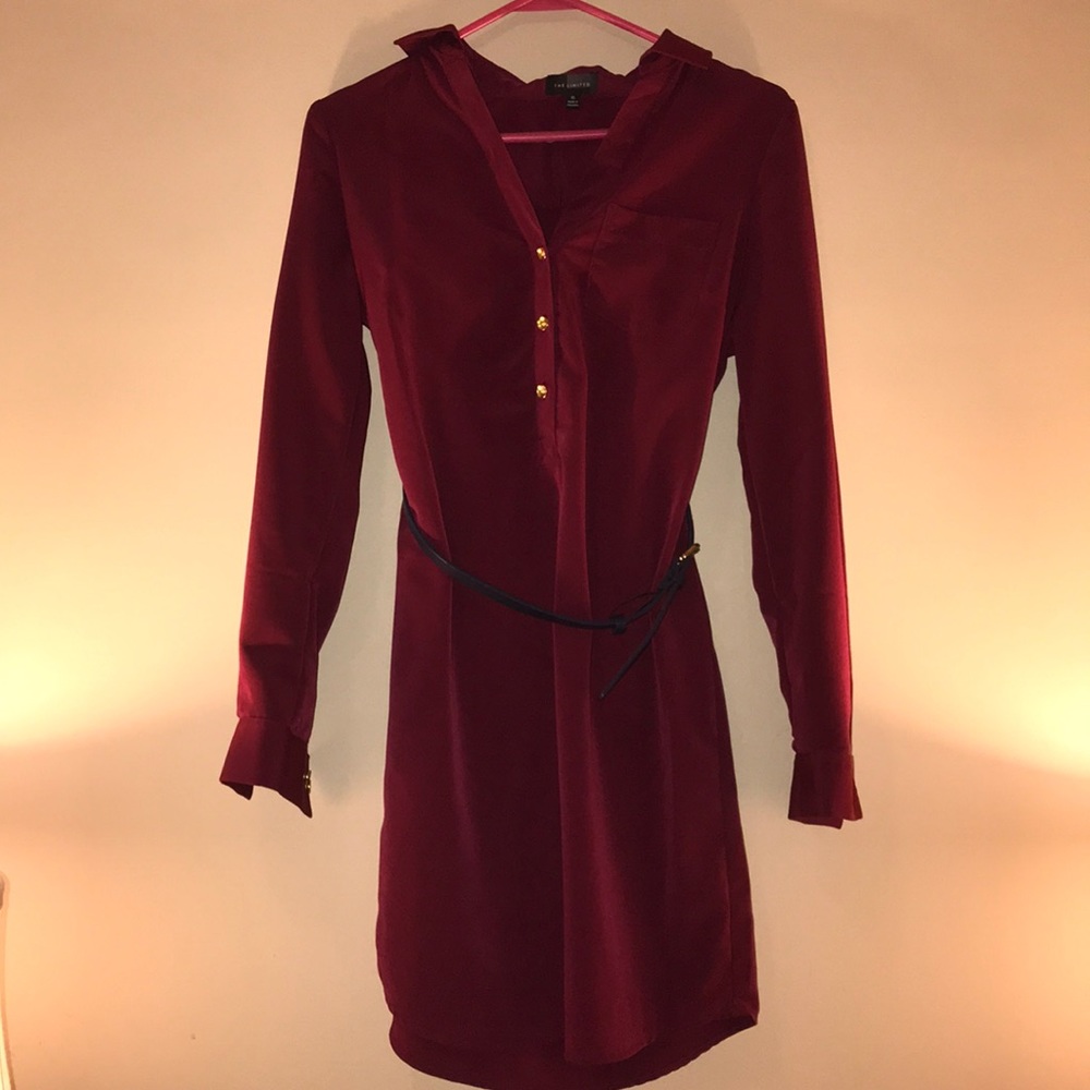 The Limited dress